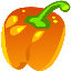 capsicum